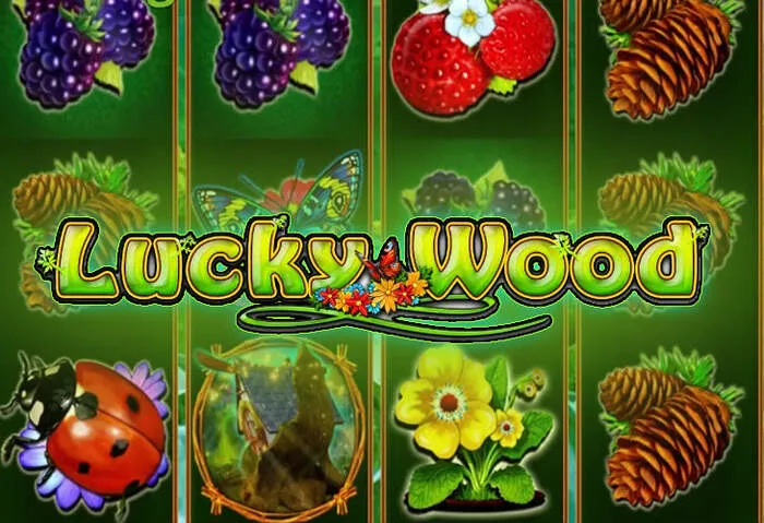 Anleitung für den CasinoName Mobile App Download und exklusive Angebote